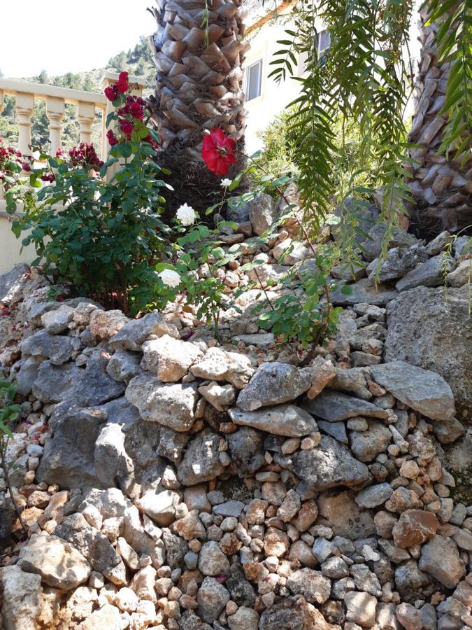 לינה וארוחת בוקר Campell Casa Lennisa מראה חיצוני תמונה