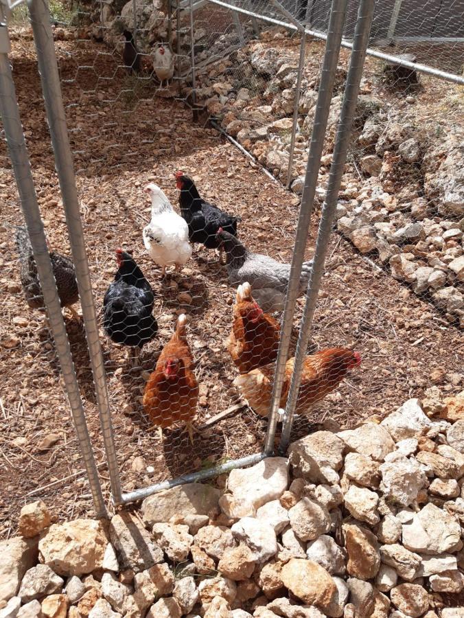 לינה וארוחת בוקר Campell Casa Lennisa מראה חיצוני תמונה